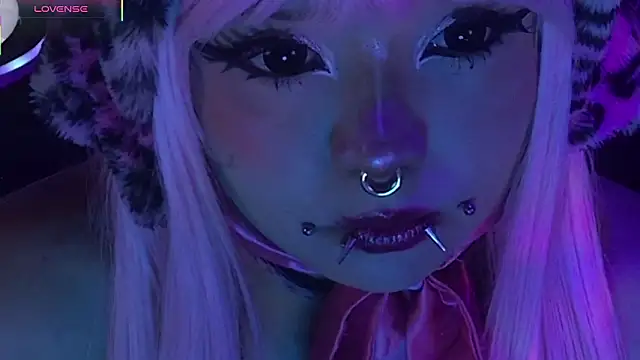 LaytonBox online show from 03.24.26