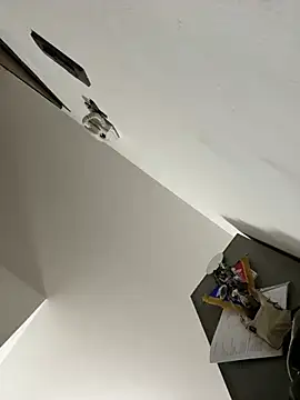 Snapshot of ilmaestoso chatting on 02.21.25 ilmaestoso online show from 02.21.25