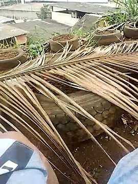 safado0027 online show from 10.15.25