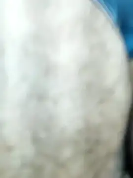 HGKNSS online show from 04.10.26