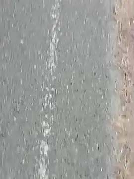 Jinenez online show from 02.27.25