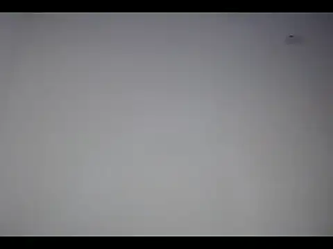 lana roman online show from 03.04.25