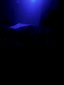 Raziv komal143 online show from 02.26.25