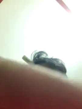 Snapshot of Marvelous_Piyush chatting on 03.06.25 Marvelous Piyush online show from 03.06.25