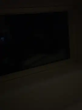 wyattstone online show from 02.20.26