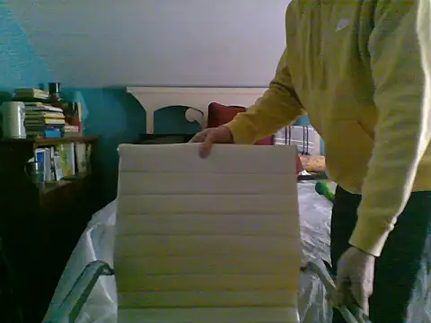 Snapshot of Prolapse_Pig chatting on 02.03.25 Prolapse Pig online show from 02.03.25