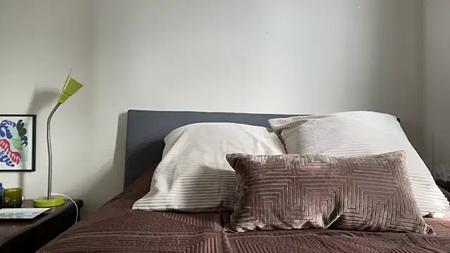 Snapshot of Prolapse_Pig chatting on 02.25.26 Prolapse Pig online show from 02.25.26