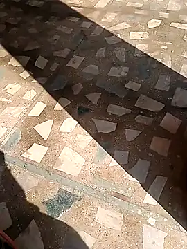 Raj41 online show from 11.13.25