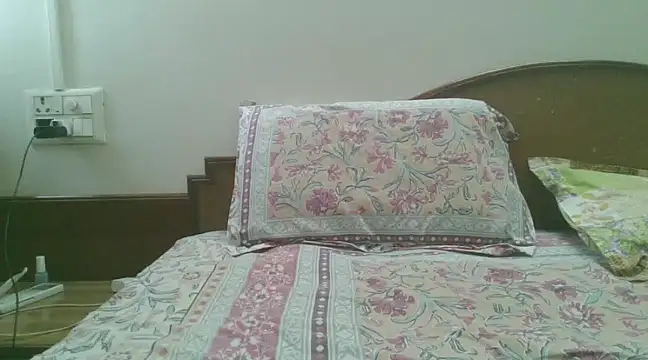 Snapshot of great_nam_par chatting on 01.25.25 great nam par online show from 01.25.25