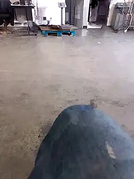 Snapshot of Trixboy201 chatting on 09.29.25 Trixboy201 online show from 09.29.25