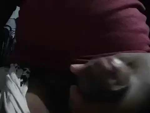 lolboy1234Z online show from 01.23.25