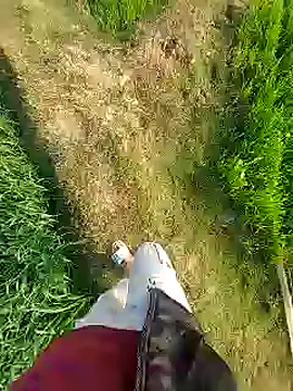 Snapshot of Extrembox5 chatting on 01.26.25 Extrembox5 online show from 01.26.25