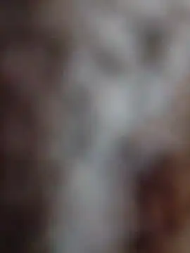 mhmia online show from 02.12.26