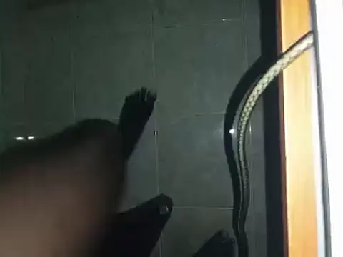 Snapshot of world_bigdick1 chatting on 03.02.25 world bigdick1 online show from 03.02.25