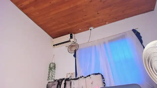 alice guzman1 online show from 10.27.25