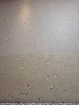 Snapshot of Tyyyggjju chatting on 10.20.25 Tyyyggjju online show from 10.20.25