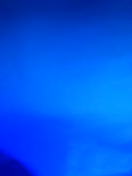 wadmma online show from 02.21.26