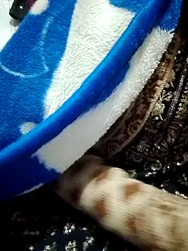 saaniya online show from 01.05.26