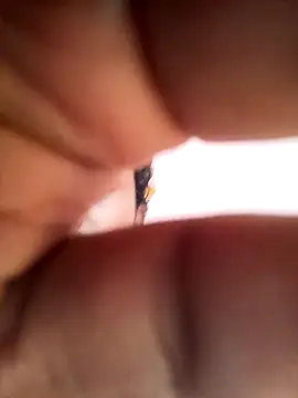 Snapshot of bigcock_thick chatting on 03.01.25 bigcock thick online show from 03.01.25