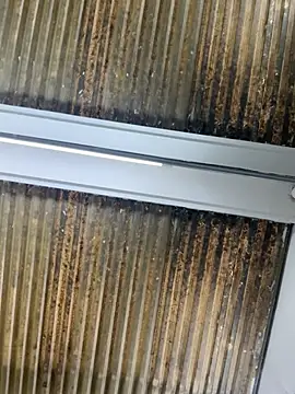 Nikki vega online show from 01.10.26