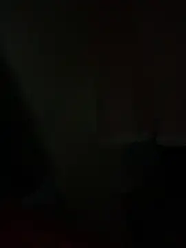 PINO pino 01 online show from 11.12.25