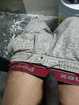 omni 333 online show from 02.04.26