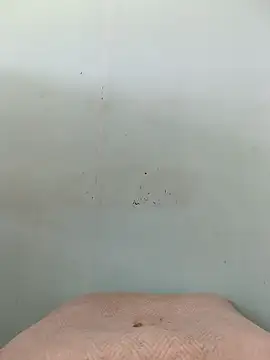 Snapshot of Dracoandr chatting on 10.11.25 Dracoandr online show from 10.11.25