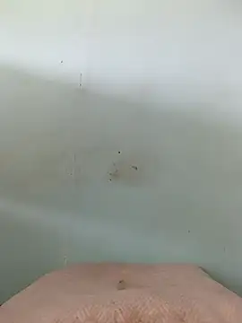 Snapshot of Dracoandr chatting on 10.26.25 Dracoandr online show from 10.26.25