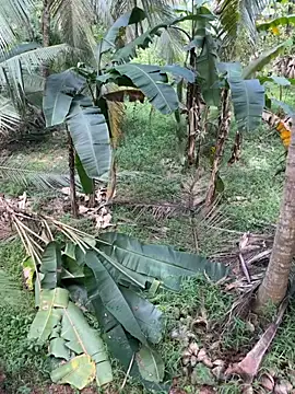 TeenLk online show from 12.05.25