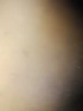 Crowlers online show from 03.16.25