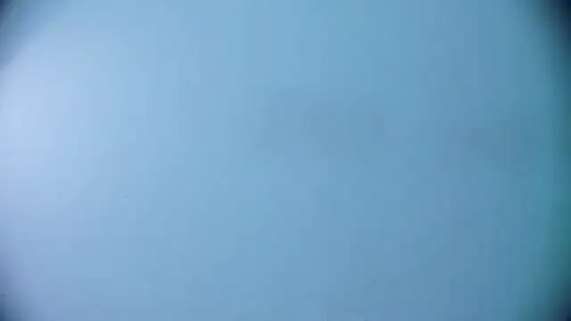 Ashlyaurora online show from 03.19.25