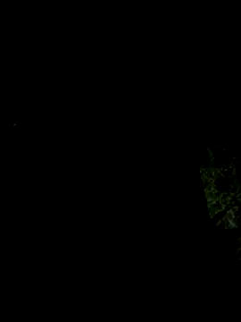 Snapshot of hintly chatting on 10.29.25 hintly online show from 10.29.25