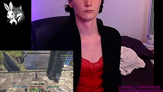 BadBunnyXWolfyLive online show from 11.12.25