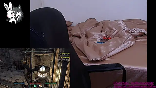 BadBunnyXWolfyLive online show from 11.14.25