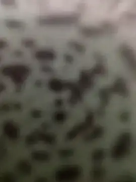 Yashkumar 0697 online show from 10.13.25