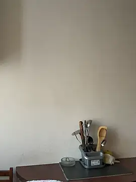 Snapshot of PlayfulShow chatting on 02.25.25 PlayfulShow online show from 02.25.25