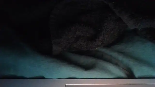 Snapshot of sheiku chatting on 10.11.25 sheiku online show from 10.11.25