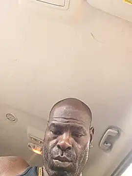 birdg online show from 10.01.25