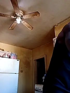 birdg online show from 11.12.25