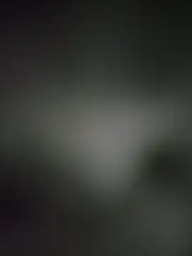 wAlewaxa online show from 02.26.25