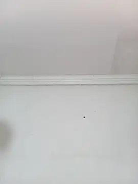 Kylie6lack online show from 10.01.25