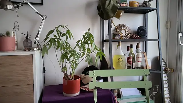 Snapshot of MikymikeBBWD chatting on 11.04.25 MikymikeBBWD online show from 11.04.25