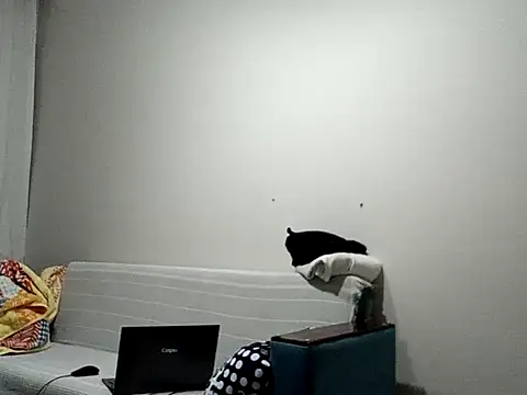 BellBort online show from 03.03.26