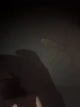 mylovebb online show from 01.06.26