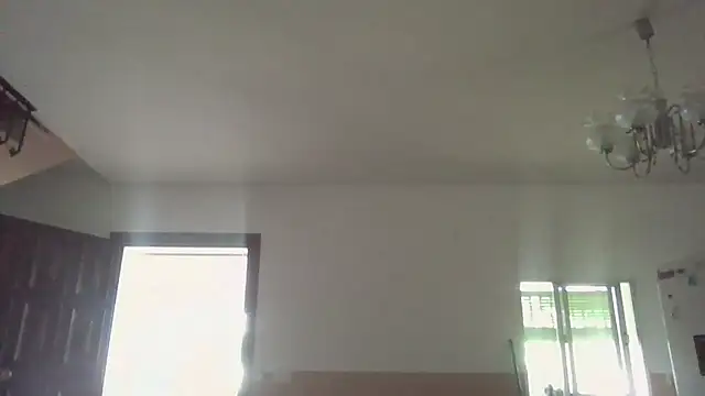 llopaco online show from 06.20.26