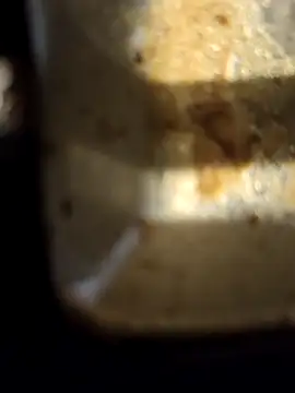 Snapshot of Loly2025 chatting on 02.20.25 Loly2025 online show from 02.20.25