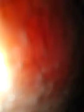 Lezoz  online show from 01.11.26