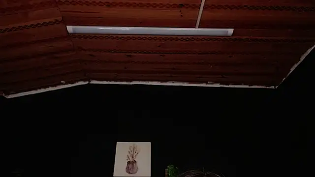 Snapshot of fyreandfox_ chatting on 11.18.25 fyreandfox online show from 11.18.25