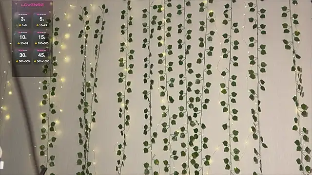 Asian Vi online show from 10.01.25