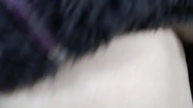 amy royale online show from 03.18.25